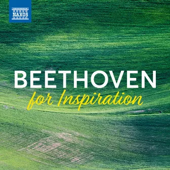 Beethoven For Inspiration by Jenő Jandó