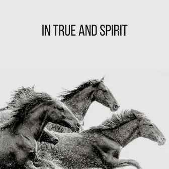 In True And Spirit by Nu Braz