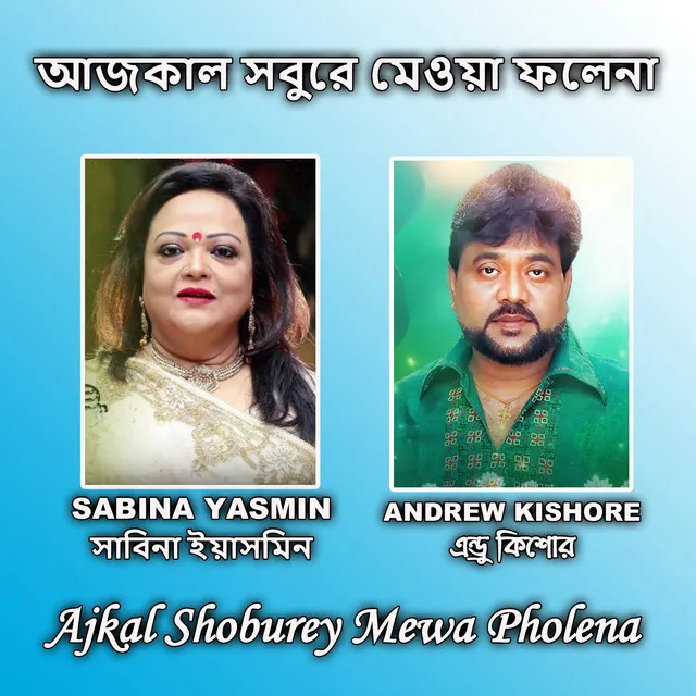 Ajkal Shoburey Mewa Pholena