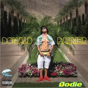 Donald Palmer by Dodie