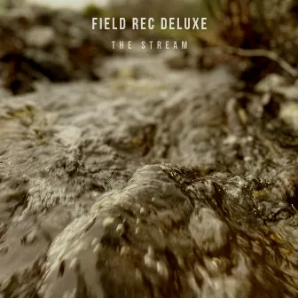 The Stream by Field Rec Deluxe