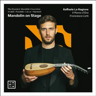 Mandolin on Stage by Raffaele La Ragione