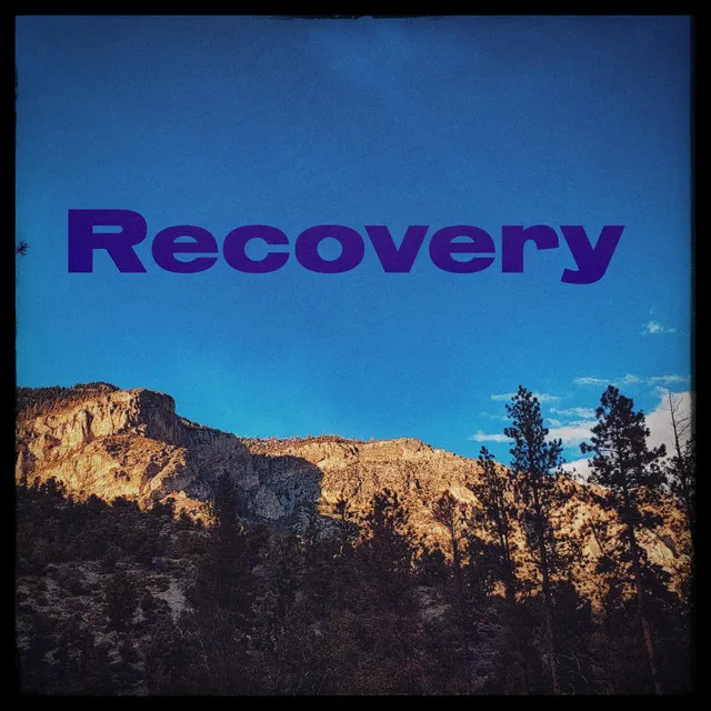 Recovery