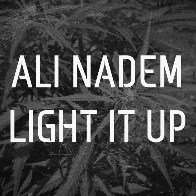 Light It Up