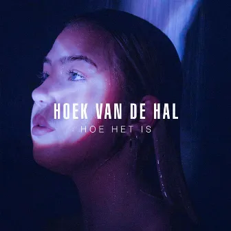 Hoek Van De Hal by Puck