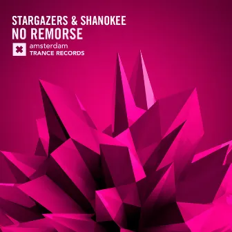 No Remorse by Stargazers