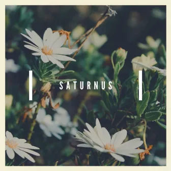 Saturnus by Seneca Dshu