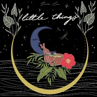 Little Things by Sierra Lane