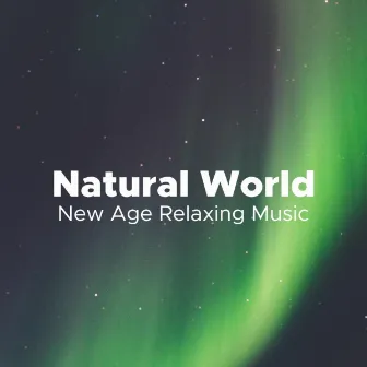 Natural World - New Age Relaxing Music for Meditation, Sleep, Deep Relaxation by Coco Lemonade