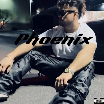 Phoenix by Unknown Artist