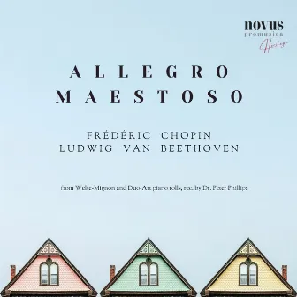 Allegro Maestoso. Heritage Chopin and Beethoven by Bernhard Stavenhagen