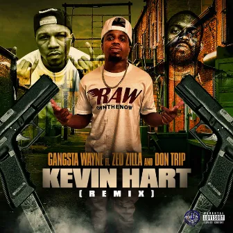 Kevin Hart (Remix) by Gangsta Wayne