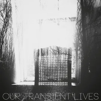 Mere Shadows by Our Transient Lives