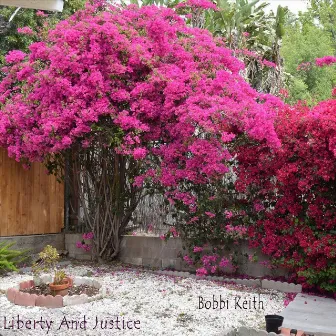 Liberty and Justice by Bobbi Keith