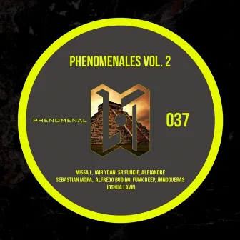 Phenomenales Vol.2 by Alfredo Buding