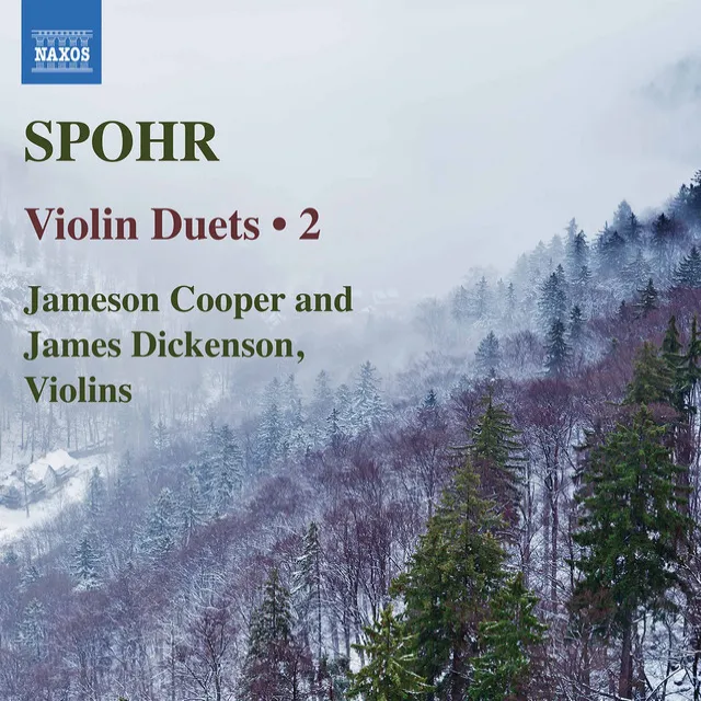 Grand Duo for 2 Violins in D Minor, Op. 39 No. 1: II. Adagio