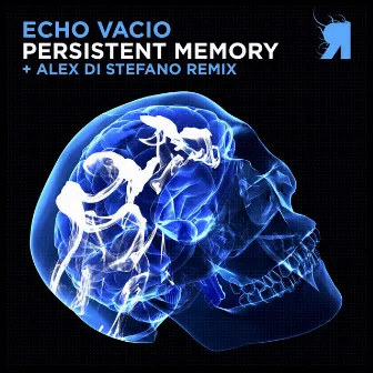 Persistent Memory by Echo Vacio