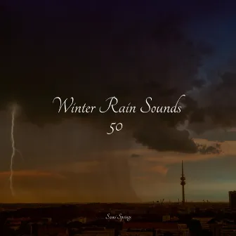 Winter Rain Sounds 50 by Natural Samples