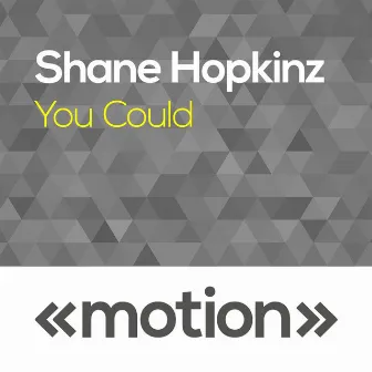 You Could by Shane Hopkinz