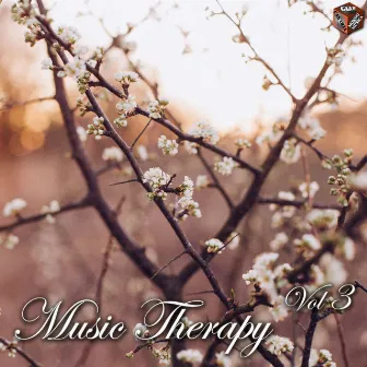 Music Therapy, Vol. 3 by 