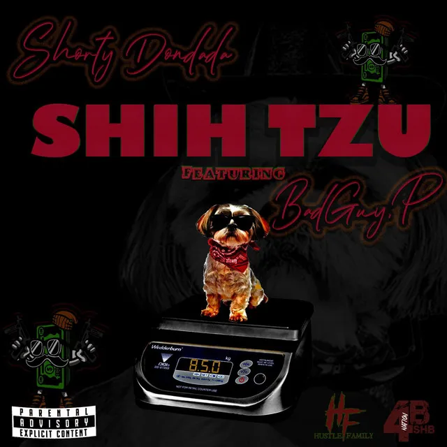 Shih Tzu