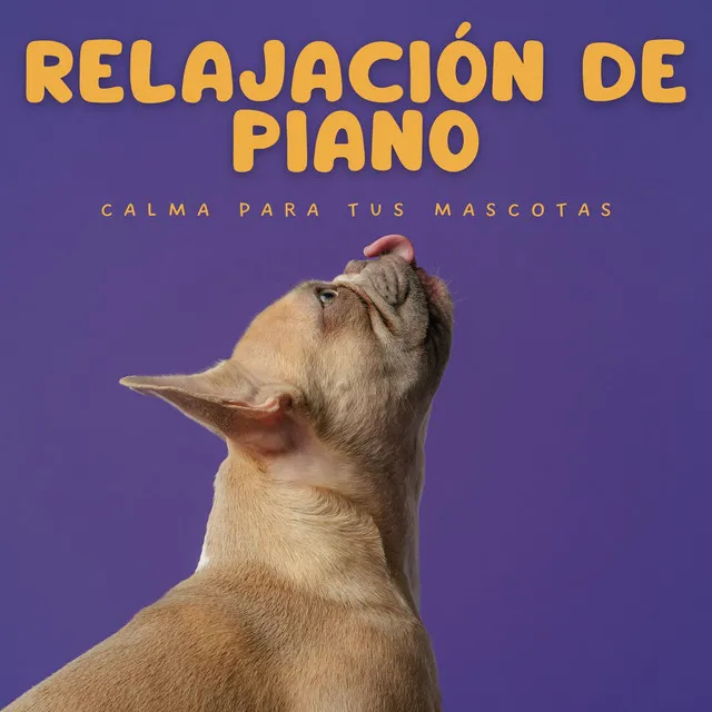 Momentos Tranquilos De Música De Piano