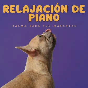 Relajación De Piano: Calma Para Tus Mascotas by Thiago Mascotas