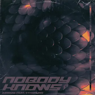 Nobody Knows by 