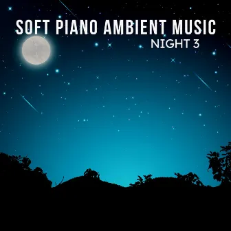 Soft Piano Ambient Music: Night 3 by Sleep Sleep Sleep