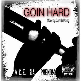 Goin Hard (mixed by Sam Be Mixing) by Sam Be Mixing