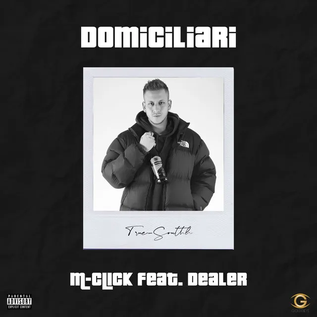 Domiciliari