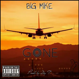 Gone by Big Mike