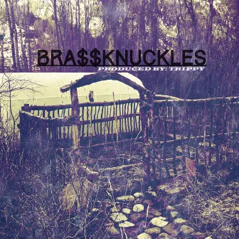 BRA$$KNUCKLES by Trippy