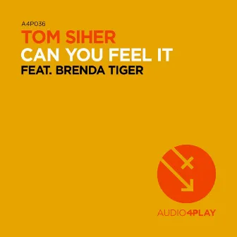 Can You Feel It by TOM SIHER