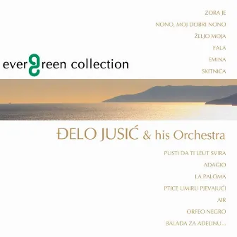 Evergreen Collection - Instrumental Pop by Đelo Jusić