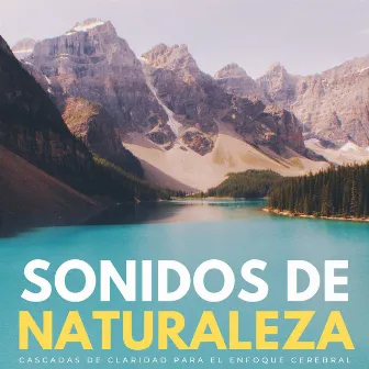 Sonidos De Naturaleza: Cascadas De Claridad Para El Enfoque Cerebral by Enfoque y trabajo