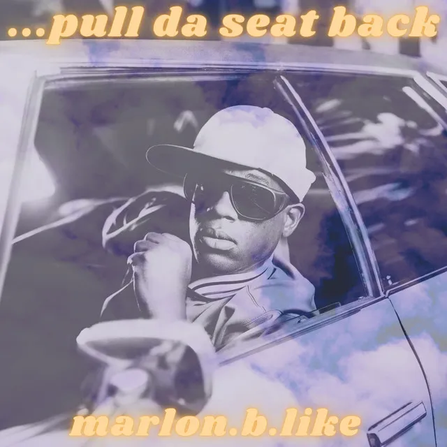 Pull da Seat Back