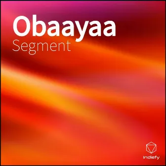 Obaayaa by Segment