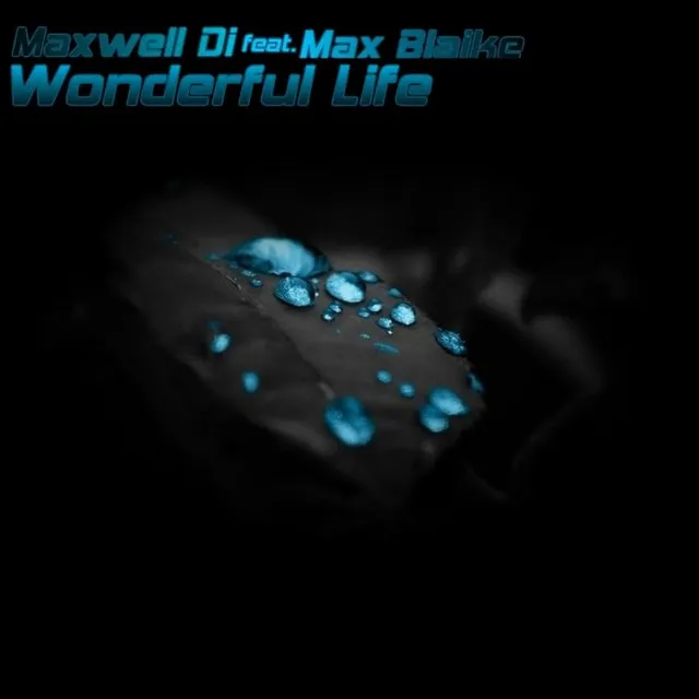 Wonderful Life - Original Mix