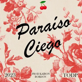 Paraíso Ciego by BORDÓN