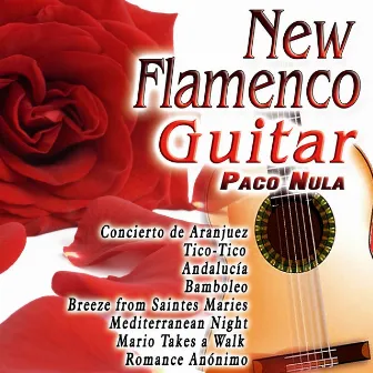 New Flamenco Guitar by Paco Nula