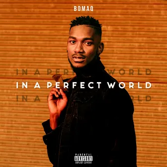 In A Perfect World by Bo Maq