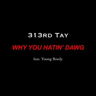 Why You Hatin' Dawg (Radio Edit) by 313rd Tay