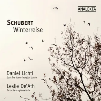 Winterreise (Winter Journey) by Leslie De'Ath