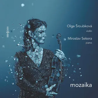 Mozaika by Olga Šroubková