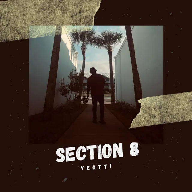 Section 8