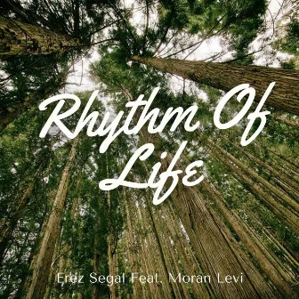 Rhythm of Life by Erez Segal