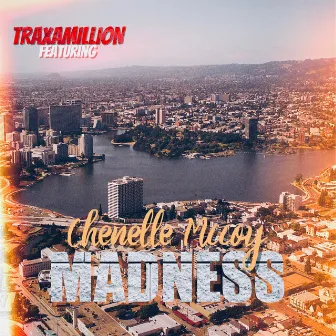 Madness (feat. Chenelle McCoy) by Traxamillion