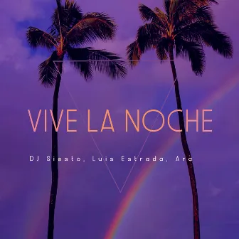 Vive La Noche by DJ Siesto