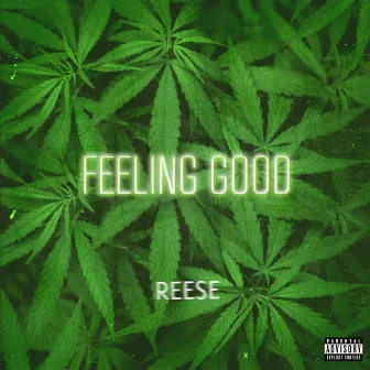 Feeling Good by Reese